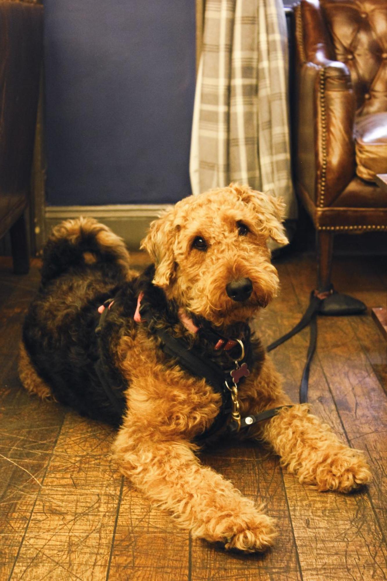Отель The Kings Arms Суиндон Экстерьер фото